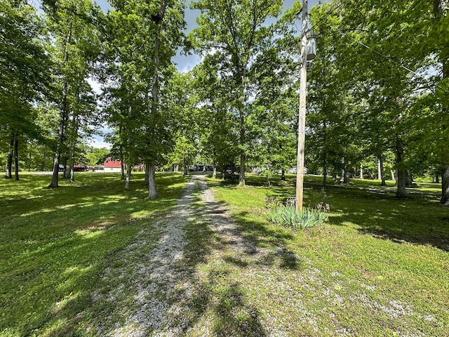 2218 Harvest Ln, Dandridge, TN 37725 - view of dirt / gravel driveway