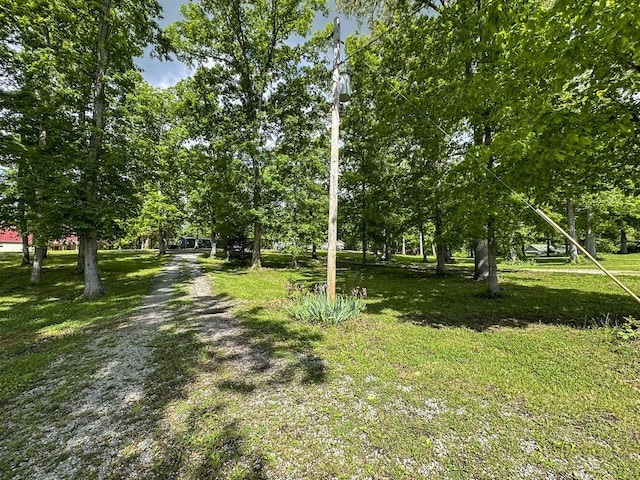 2218 Harvest Ln, Dandridge, TN 37725 - view of grassy yard