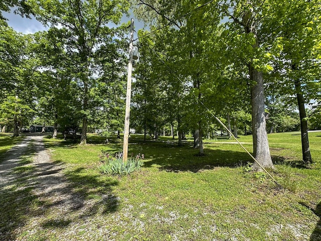 2218 Harvest Ln, Dandridge, TN 37725 - view of green lawn