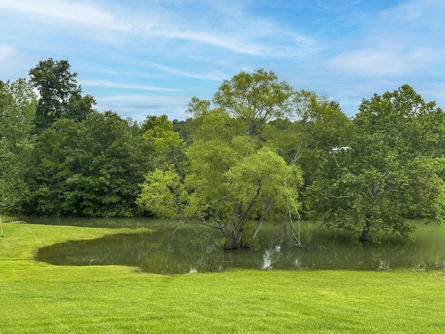 2218 Harvest Ln, Dandridge, TN 37725 - view of home's community featuring a water view, a yard, and a view of trees