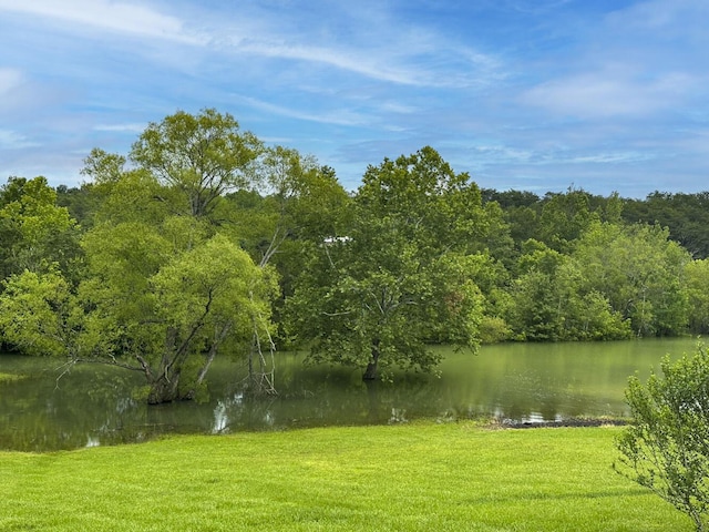2218 Harvest Ln, Dandridge, TN 37725 - water view featuring a heavily wooded area