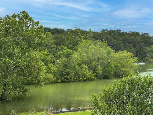2218 Harvest Ln, Dandridge, TN 37725 - water view with a forest