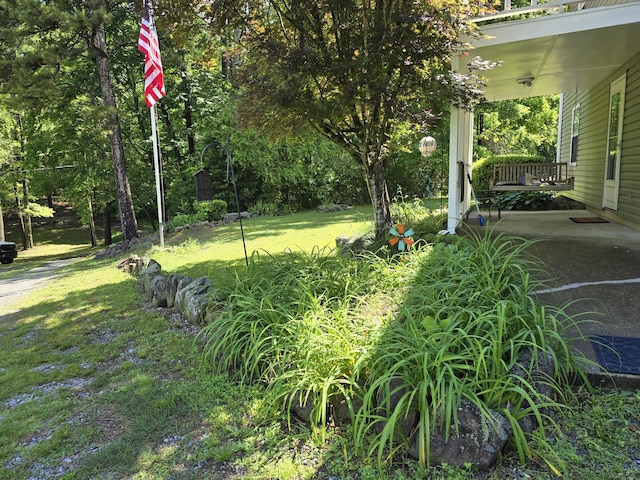1254 Mahan Rd, Summerville, GA 30747 - photo 5