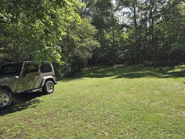 1254 Mahan Rd, Summerville, GA 30747 - photo 34