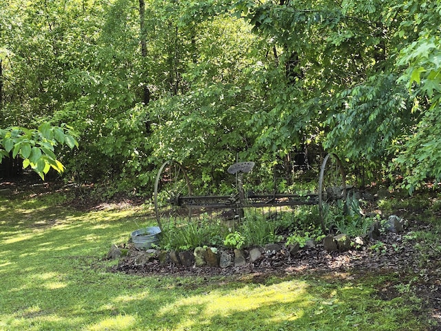 1254 Mahan Rd, Summerville, GA 30747 - photo 2