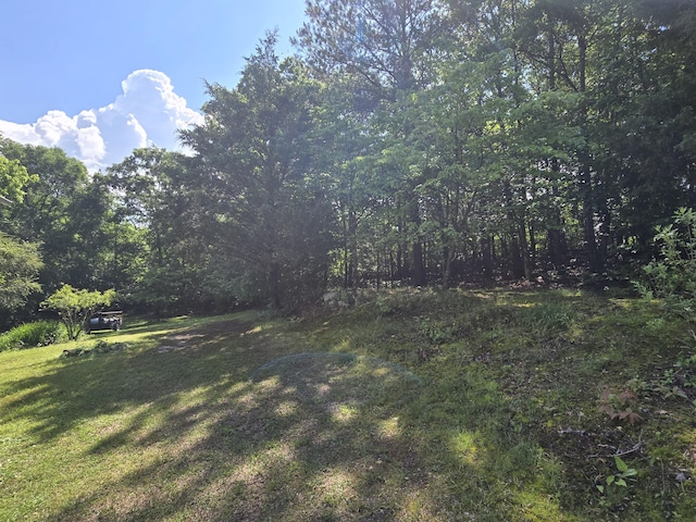 1254 Mahan Rd, Summerville, GA 30747 - photo 38