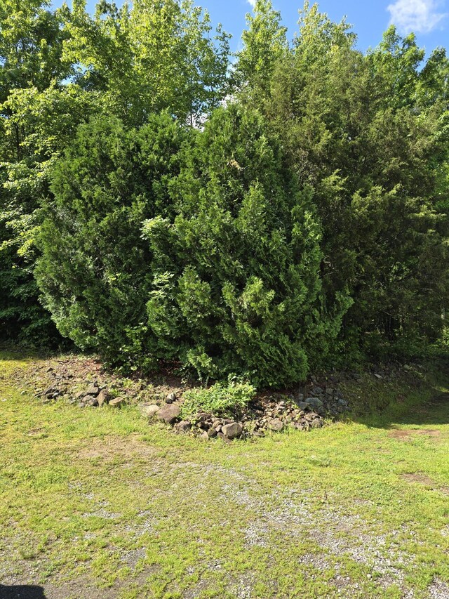 1254 Mahan Rd, Summerville, GA 30747 - photo 29