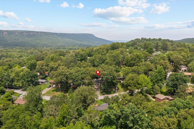 209 Cinderella Dr, Flintstone, GA 30725 - aerial view of a forest and a mountainous background