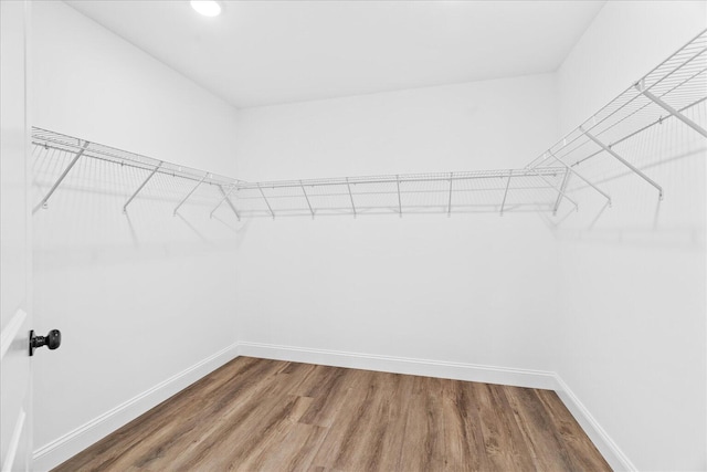 118 Earls Way, Chatsworth, GA 30705 - walk in closet featuring wood finished floors