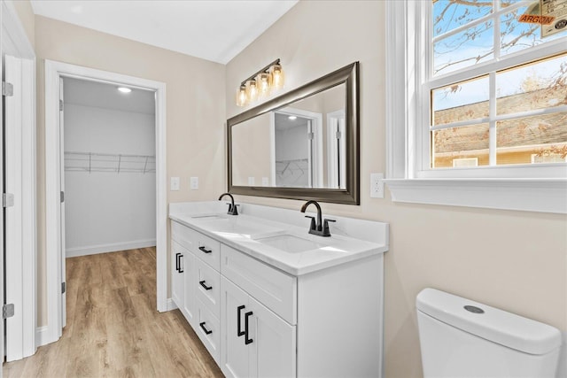 118 Earls Way, Chatsworth, GA 30705 - full bathroom with wood finished floors, a walk in closet, double vanity, and toilet