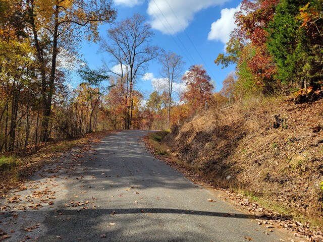 11 Raulstontown Rd Unit 11, South Pittsburg, TN 37380