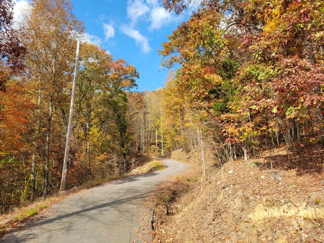 11 Raulstontown Rd Unit 11, South Pittsburg, TN 37380