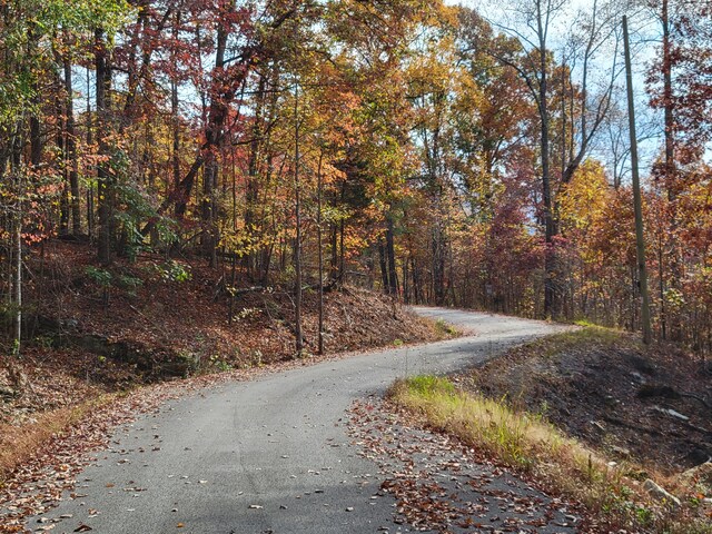11 Raulstontown Rd Unit 11, South Pittsburg, TN 37380