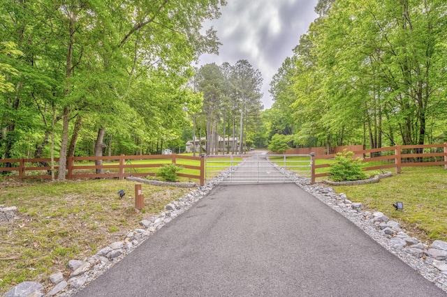 4950 Standifer Rd, Cohutta, GA 30710 - view of street with a gate
