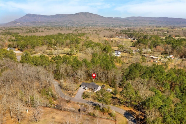 132 Katie Ln, Chatsworth, GA 30705 - view of property location with mountains and a forest