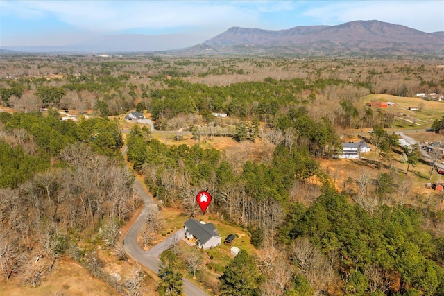132 Katie Ln, Chatsworth, GA 30705 - aerial overview of property's location featuring a forest and a mountain backdrop