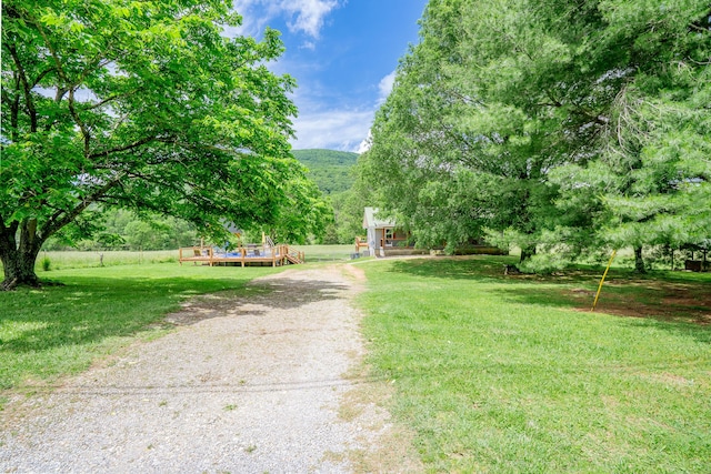 976 Chamberlain Rd, Lafayette, GA 30728 - view of dirt / gravel driveway