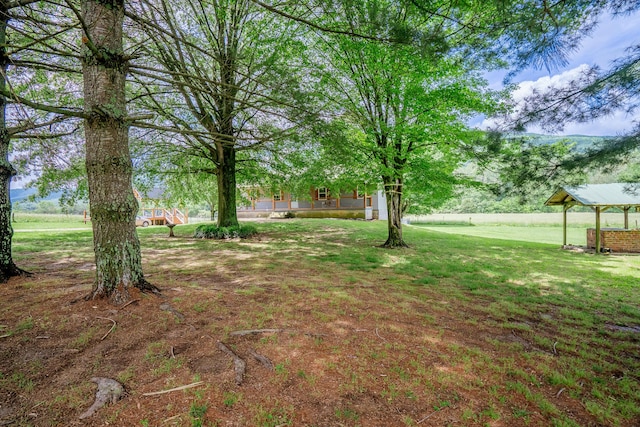 976 Chamberlain Rd, Lafayette, GA 30728 - view of green lawn