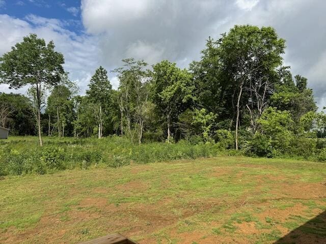 724 Old Cemetery Rd, Madisonville, TN 37354 - photo 26