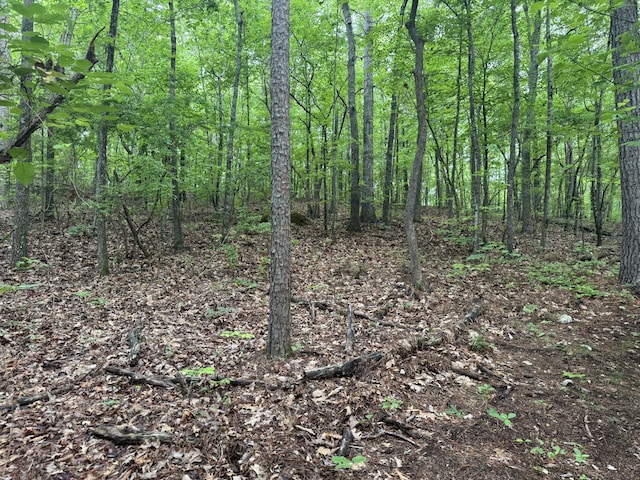 0 E Armuchee, Lafayette, GA 30728