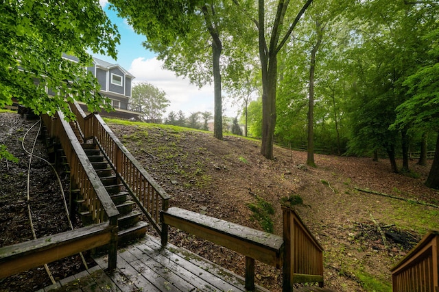715 Forest Ave, Chattanooga, TN 37405 - view of yard with stairway