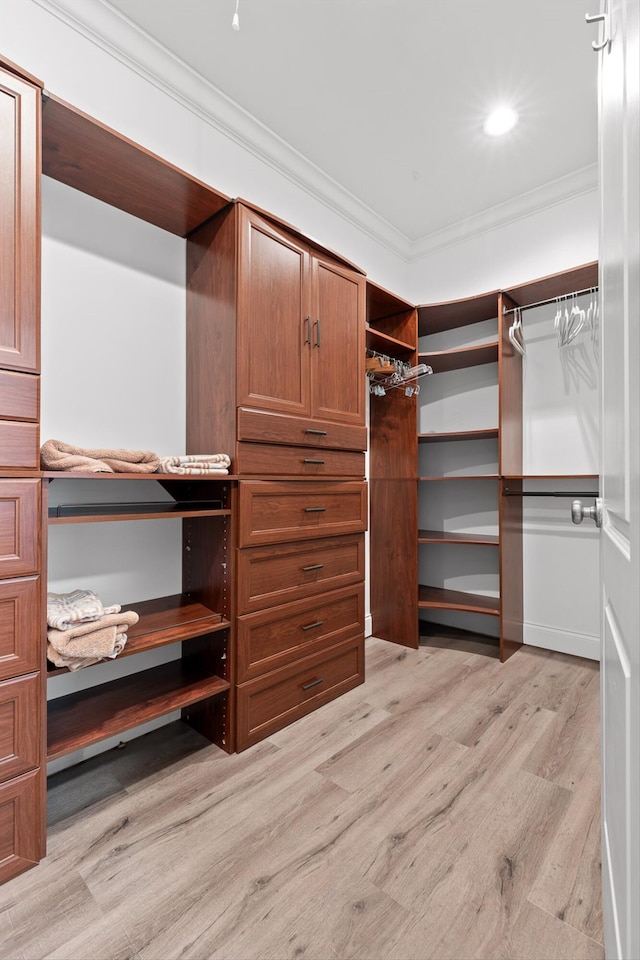 715 Forest Ave, Chattanooga, TN 37405 - walk in closet with light wood-style flooring