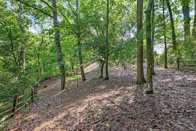 715 Forest Ave, Chattanooga, TN 37405 - view of undeveloped land