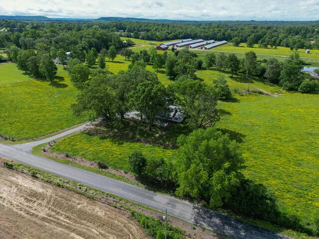 5094 County Road 159, Ider, AL 35981 - photo 43