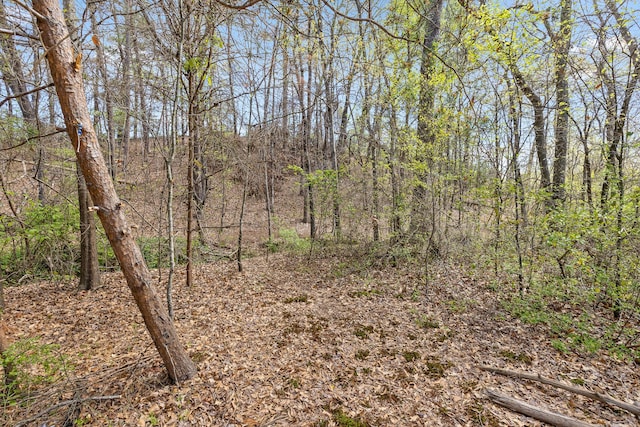 5925 Winding Ln, Hixson, TN 37343 - photo 6
