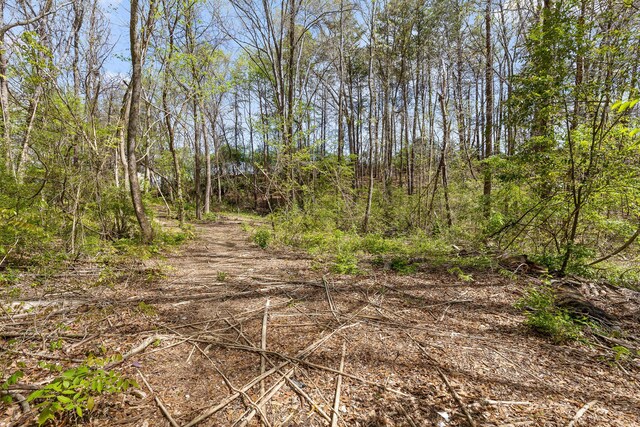 5925 Winding Ln, Hixson, TN 37343 - photo 10