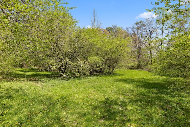 5925 Winding Ln, Hixson, TN 37343 - photo 11