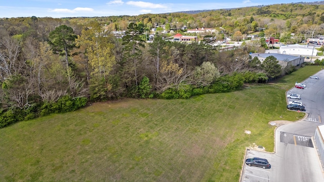 5925 Winding Ln, Hixson, TN 37343 - photo 17