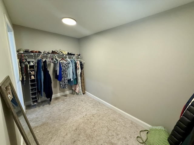 714 W 42nd St, Chattanooga, TN 37410 - walk in closet featuring carpet flooring