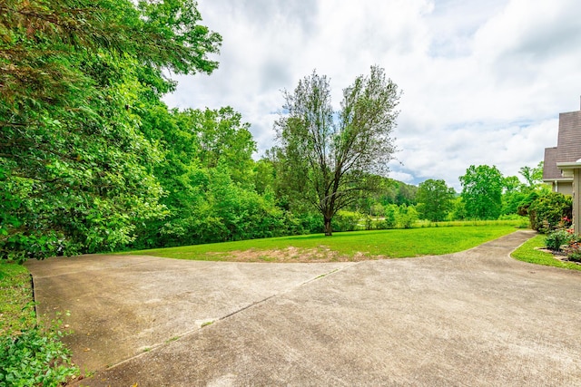 13709 Stormer Rd, Soddy Daisy, TN 37379 - view of grassy yard