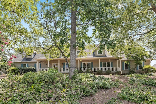 cape cod-style house featuring a porch and roof with shingles
