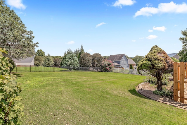 view of yard