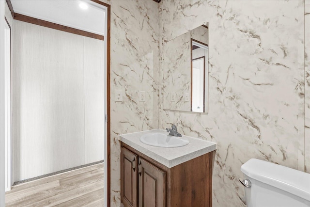bathroom with vanity, toilet, and wood finished floors