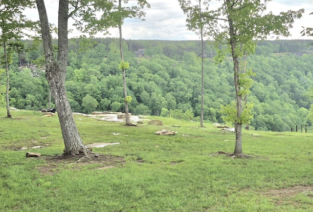 6070 Raulston Falls Rd Lot 97, Jasper, TN 37347