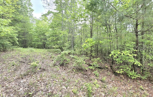 6070 Raulston Falls Rd Lot 97, Jasper, TN 37347