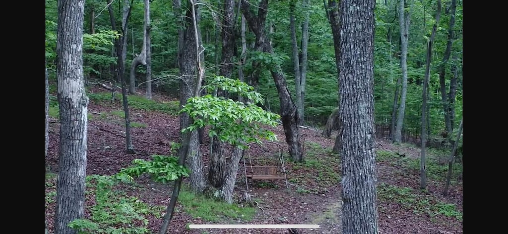 594 Lookout Crest Ln, Lookout Mountain, GA 30750
