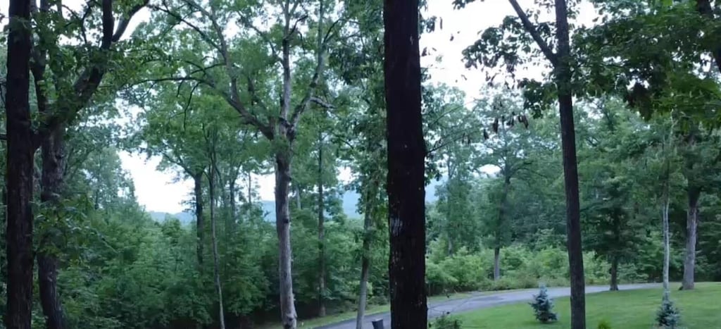 594 Lookout Crest Ln, Lookout Mountain, GA 30750