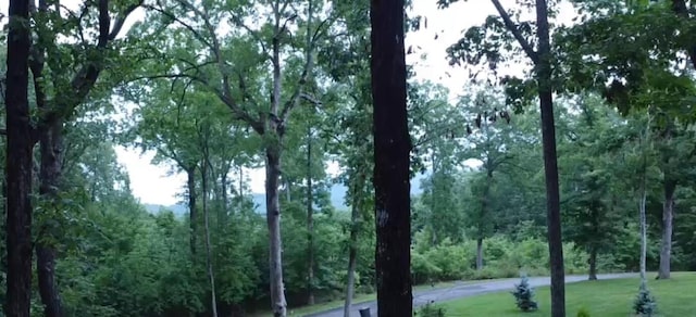 594 Lookout Crest Ln, Lookout Mountain, GA 30750