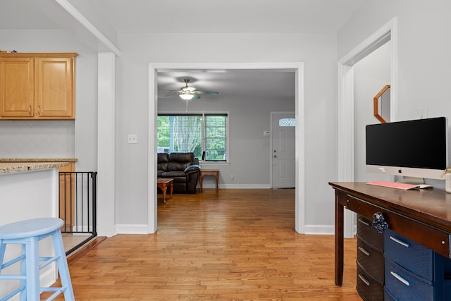 5007 Florida Ave, Chattanooga, TN 37409 - living area featuring light wood-style floors, a ceiling fan, and baseboards