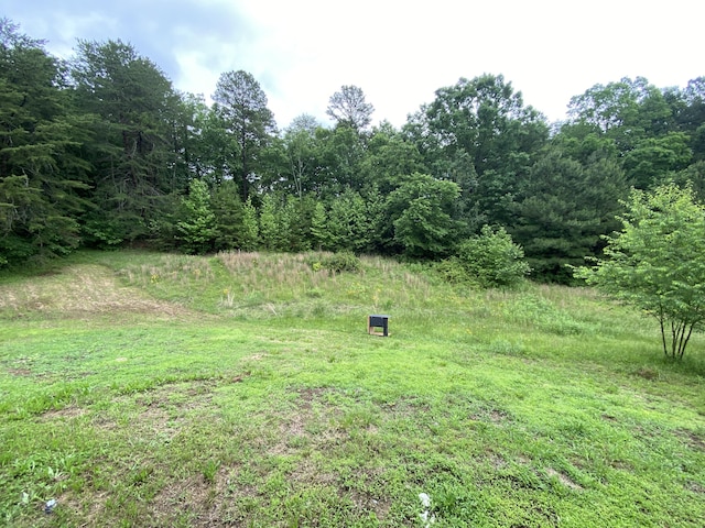 1237 N Pass, Chatsworth, GA 30705 - view of yard