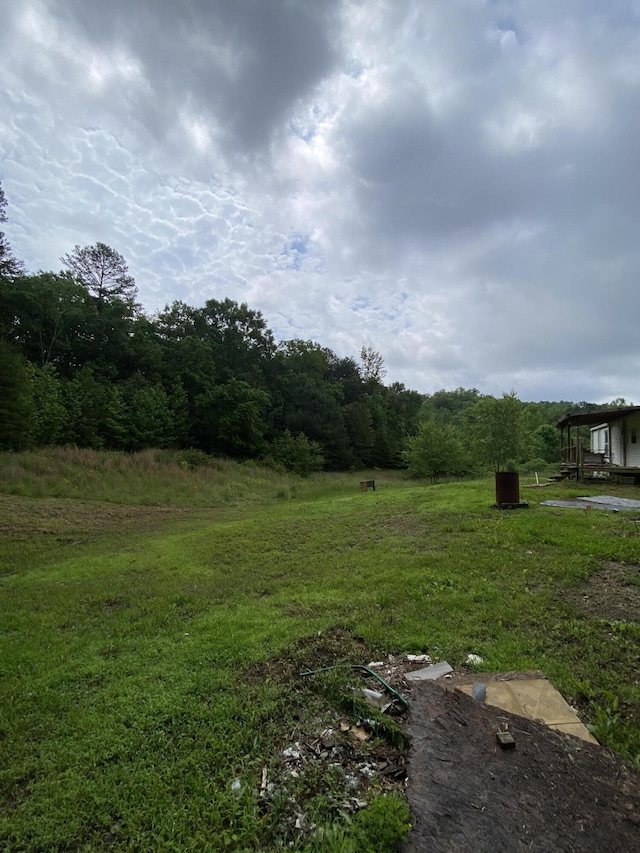 1237 N Pass, Chatsworth, GA 30705 - view of yard featuring a forest view