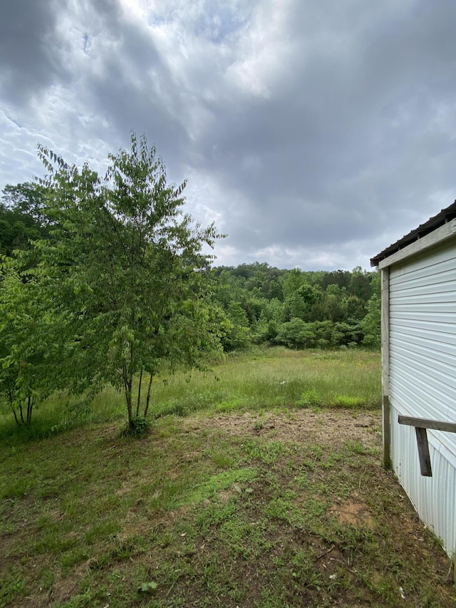1237 N Pass, Chatsworth, GA 30705 - view of yard featuring a wooded view