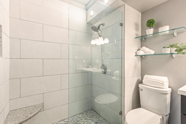 1131 Stringers Ridge Rd Unit 11G, Chattanooga, TN 37405 - full bathroom featuring toilet, a stall shower, and vanity