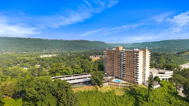 1131 Stringers Ridge Rd Unit 11G, Chattanooga, TN 37405 - view of mountain background with a heavily wooded area
