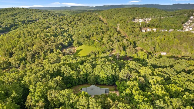 6601 Hunter Rd, Harrison, TN 37341 - aerial overview of property's location with a forest