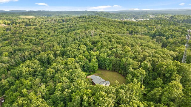 6601 Hunter Rd, Harrison, TN 37341 - aerial view of a heavily wooded area and a mountainous background